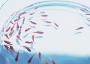 人人都在谈论数字孪生，到底好在哪